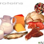 proteins-picture