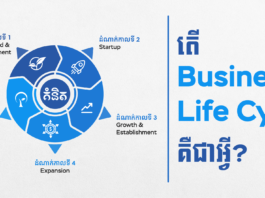 តើ Business Life Cycle គឺជាអ្វី ?